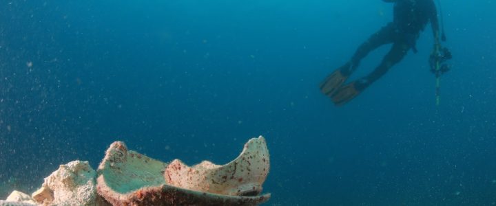 KKP Jadikan BMKT Bernilai Ekonomi bagi Masyarakat KKP Jadikan BMKT Bernilai Ekonomi bagi Masyarakat