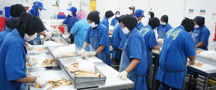KKP Optimalkan Serapan Cat fish dengan Pertemukan Asosiasi Hulu-Hilir KKP Optimalkan Serapan Cat fish dengan Pertemukan Asosiasi Hulu-Hilir
