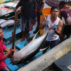 KKP Pastikan Awak Kapal Perikanan Tersertifikasi