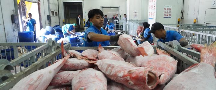KKP Siapkan Sistem Informasi Cold Storage Perkuat Hilirisasi Perikanan