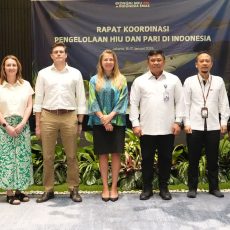 KKP Tingkatkan Perlindungan Hiu dan Pari lewat Kolaborasi Internasional