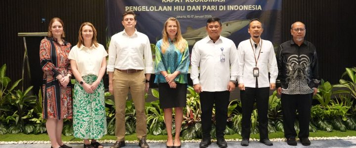 KKP Tingkatkan Perlindungan Hiu dan Pari lewat Kolaborasi Internasional