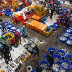Kolaborasi KKP-WWF Jaga Keberlanjutan Hulu-Hilir Produk Perikanan