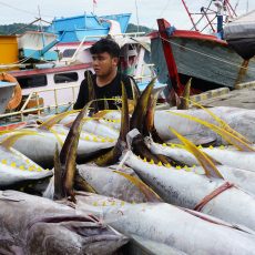 Sistem Pascaproduksi PIT Tingkatkan PNBP SDA Perikanan 30% di 2024